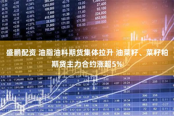 盛鹏配资 油脂油料期货集体拉升 油菜籽、菜籽粕期货主力合约涨超5%