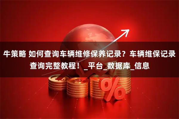 牛策略 如何查询车辆维修保养记录？车辆维保记录查询完整教程！_平台_数据库_信息
