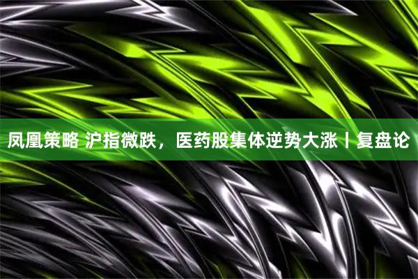 凤凰策略 沪指微跌，医药股集体逆势大涨丨复盘论