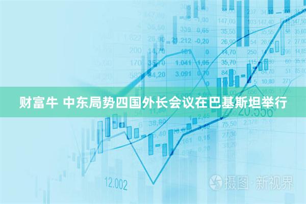 财富牛 中东局势四国外长会议在巴基斯坦举行