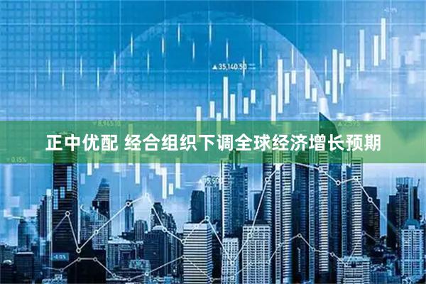 正中优配 经合组织下调全球经济增长预期