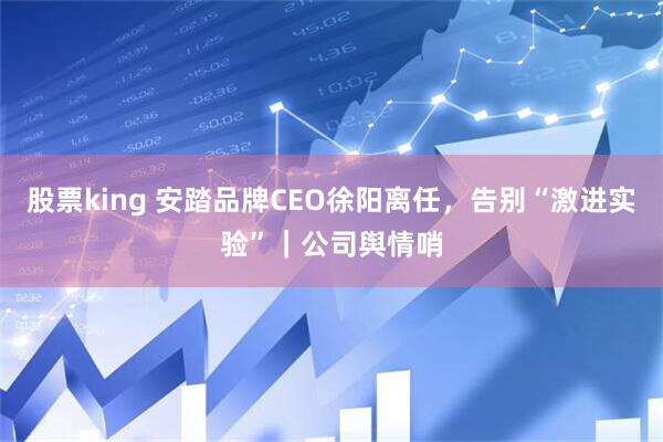 股票king 安踏品牌CEO徐阳离任，告别“激进实验”｜公司舆情哨