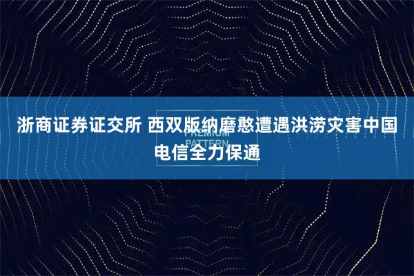 浙商证券证交所 西双版纳磨憨遭遇洪涝灾害中国电信全力保通
