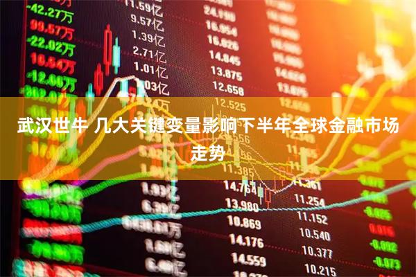 武汉世牛 几大关键变量影响下半年全球金融市场走势